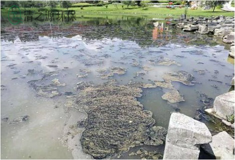 污水黄瓜视频在线播放需要经常测量和监测哪些水污染指标