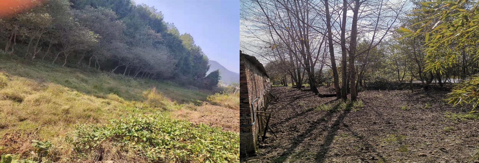 石塘村、五星村污水站现场选址现场图.png