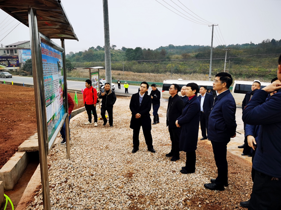 黄瓜视频APP黄土壤修复环境综合黄瓜视频在线播放