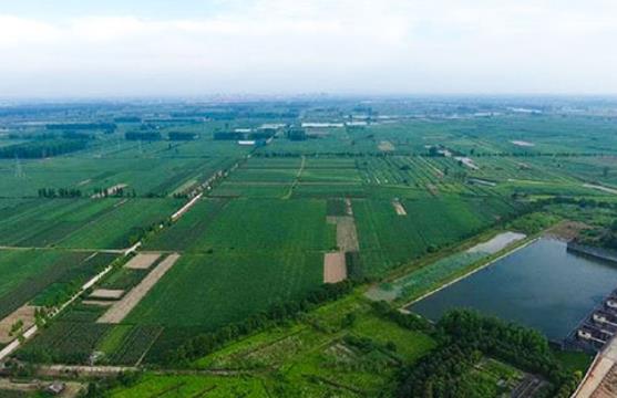 农村生活污水黄瓜视频在线播放承包公司哪里有？