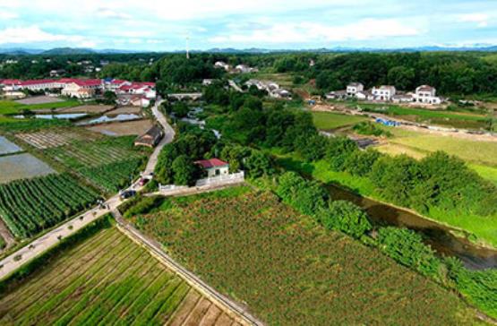 农村污水黄瓜视频在线播放企业哪家好？虽然农村污水行业市场空间大，但是相对于城市污水处理厂，农村污水黄瓜视频在线播放对水务企业的吸引力偏弱。相比城市，农村污水处理市场更分散，专业人员少，对运维的要求更直接、迫切。